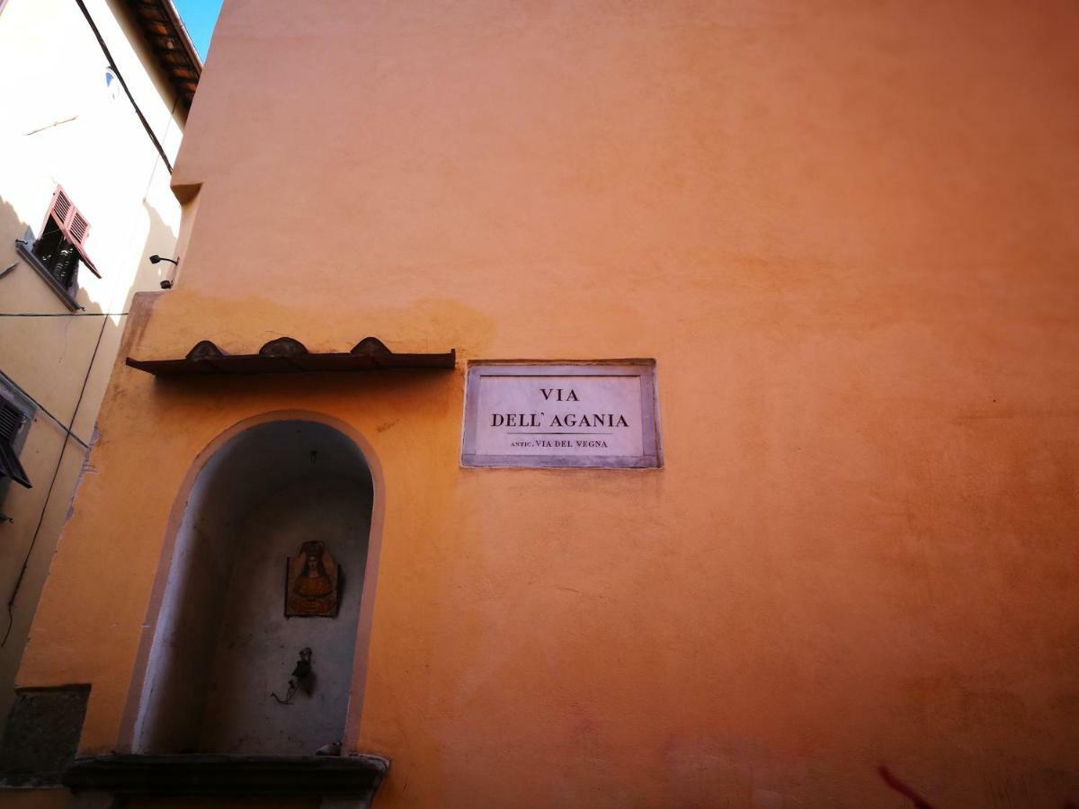 La Casina Dell'Agania Apartment Arezzo Exterior photo